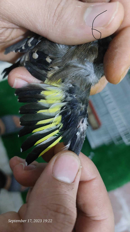 378103711_330329472898097_3845228057679124720_n