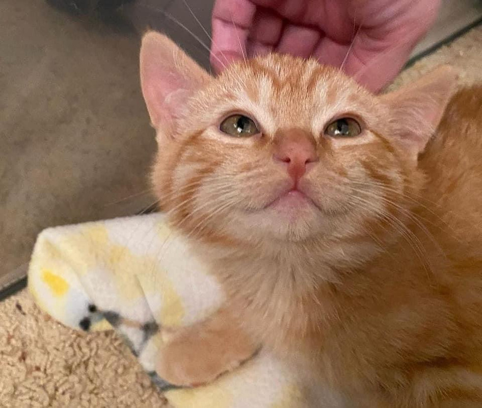 5C32D117-EB2C-48C9-B54C-602FD90FD0E7