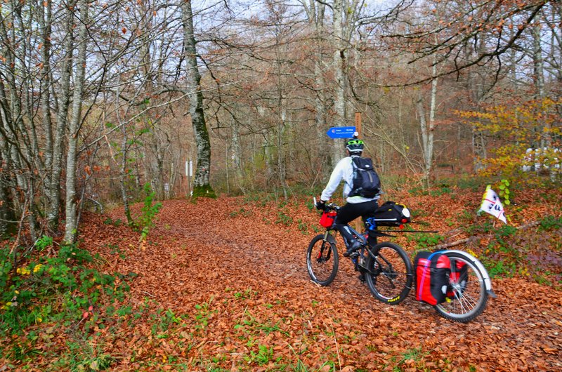 SELVA DE IRATI-14-11-2015-NAVARRA - Paseando por España-1991/2024 (6)