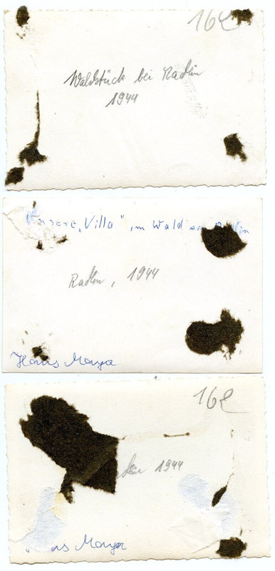 3 x Foto Panzer V Panther Bunker Villa #313 Panzer-Regiment 2 RADLIN Polen 1944 (1)