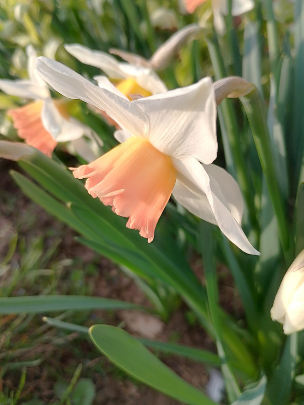 IMG_20240318_172832_HDR