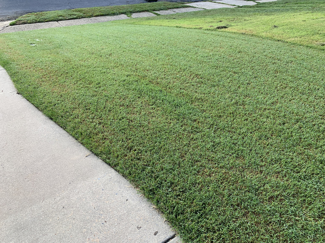 L'aventure de Sam au NJ aux Bermudes | Lawn Care Forum, image size:1067x800