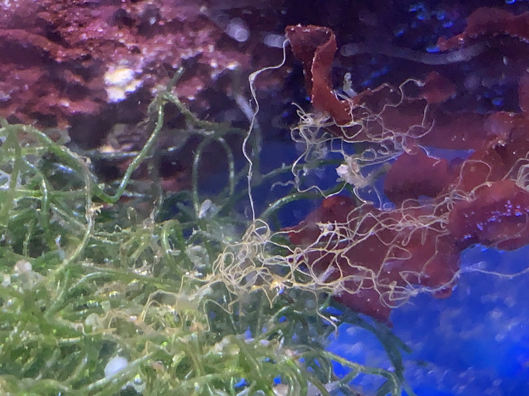 38E5E923-133E-4B24-8E76-93E54FC47C5D