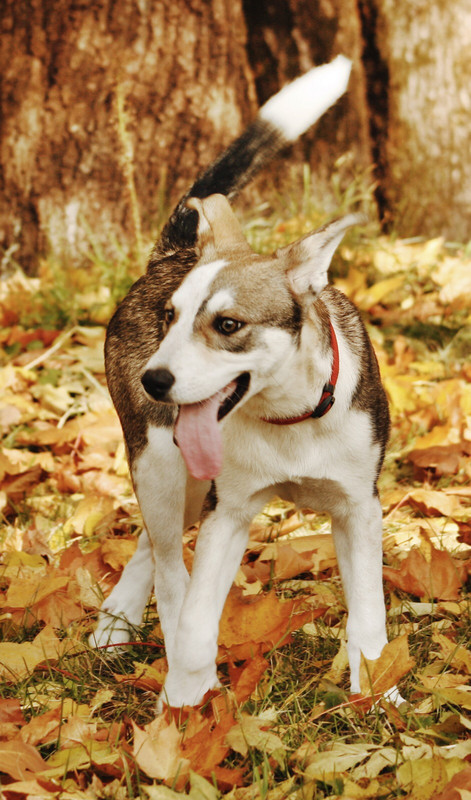 3BEFA9C9-42C2-4009-A4D9-7FADF27EC46C