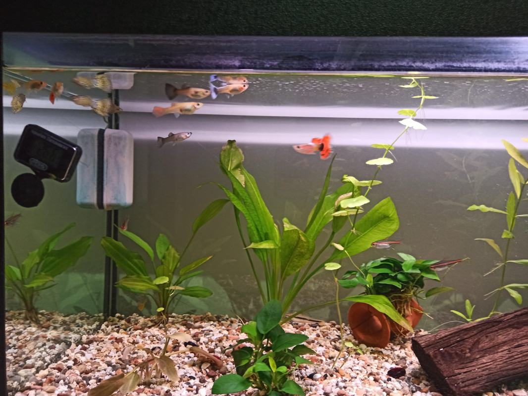 WhatsApp Image 2020-09-02 at 07.40.59(1)