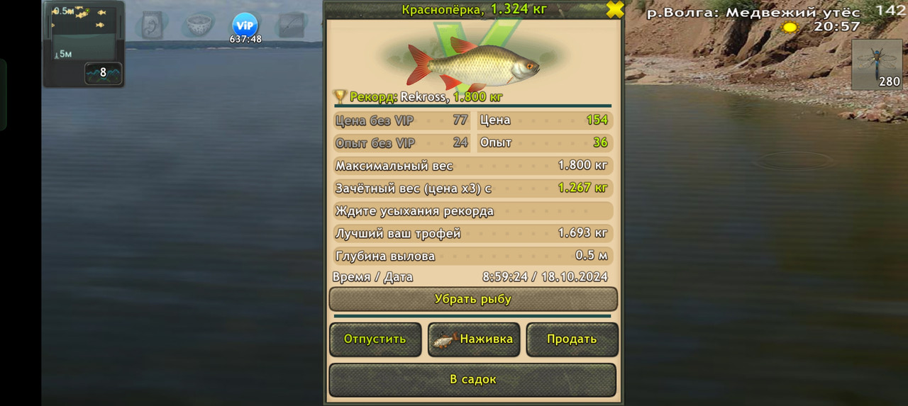 Screenshot-2024-10-18-08-59-28-62-fa28ee