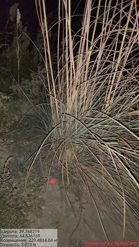 IMG 20251026 054259 949