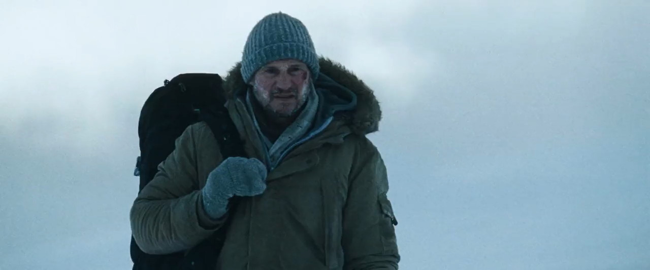 The Grey 2012 BluRay [Hindi + Tamil + Telugu + English] 480p 720p ESub Screenshot