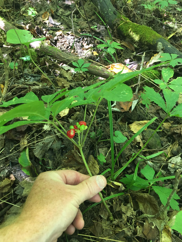 7C669B72-4931-4270-BA05-FD8B5B2EF05C