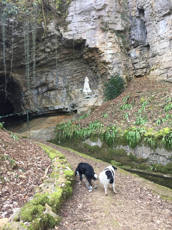 45FF8C98-CFAF-41D6-A950-8D9F3D4E31A7