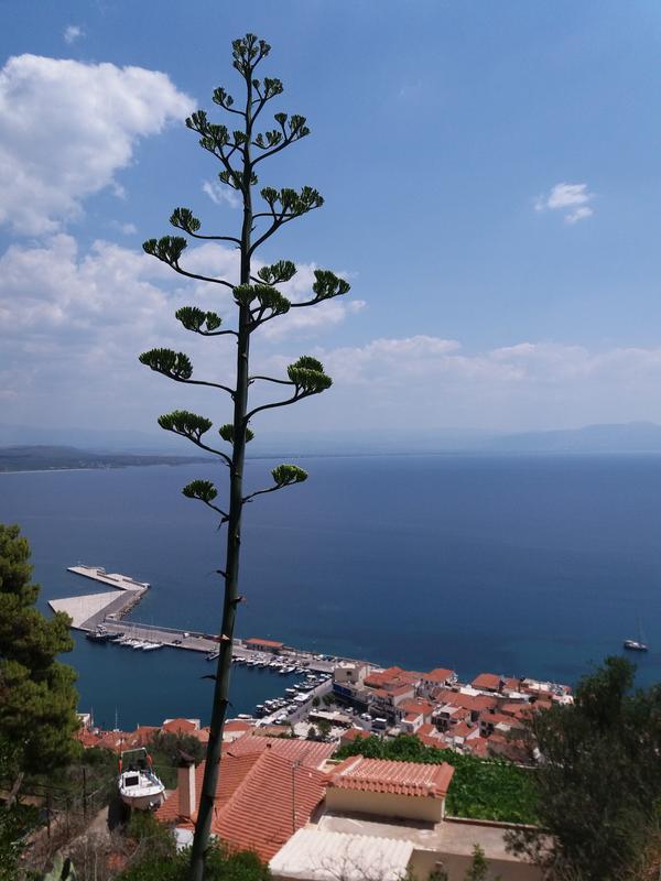 Slika