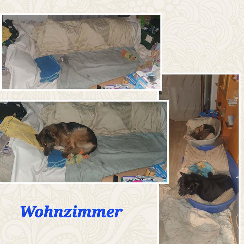 Foto Collagen App mo Wa Fw