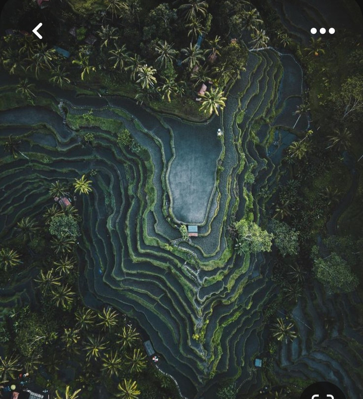 Screenshot_20230611_221602_Pinterest