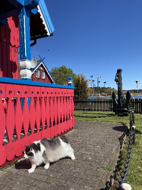 41-E68281-E74-B-40-FB-9248-6-BE5-BF68-FA