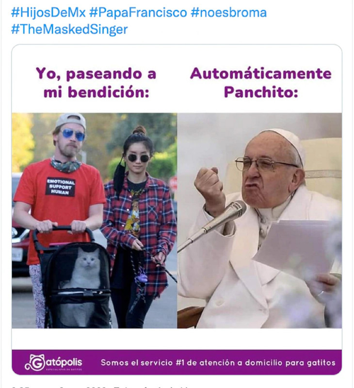 Papa Francisco, los mejores memes que le crearon por criticar a los 