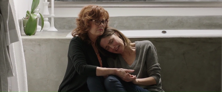 The Meddler 2016 BluRay [Hindi + English] 480p, 720p ESub Screenshot