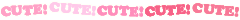 ✩