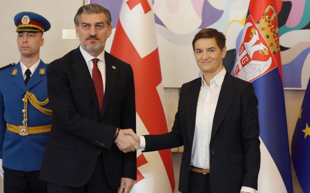 მიხეილ ყაველაშვილი სერბეთის რესპუბლიკის ეროვნული კრების თავმჯდომარეს, ანა ბრნაბიჩს შეხვდა