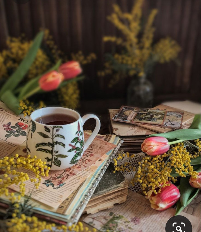 Screenshot_20230710_234613_Pinterest