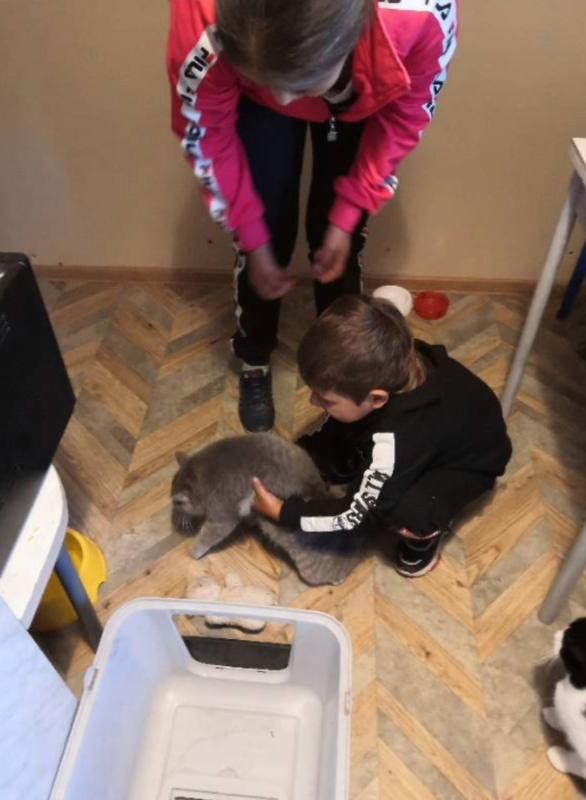 Screenshot_20220428_193804_com.android.gallery3d (1)