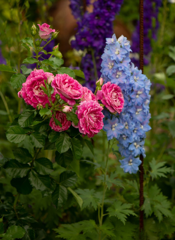 IMG-b1a6395d42f3e87dd7045b85617ef3ea-V