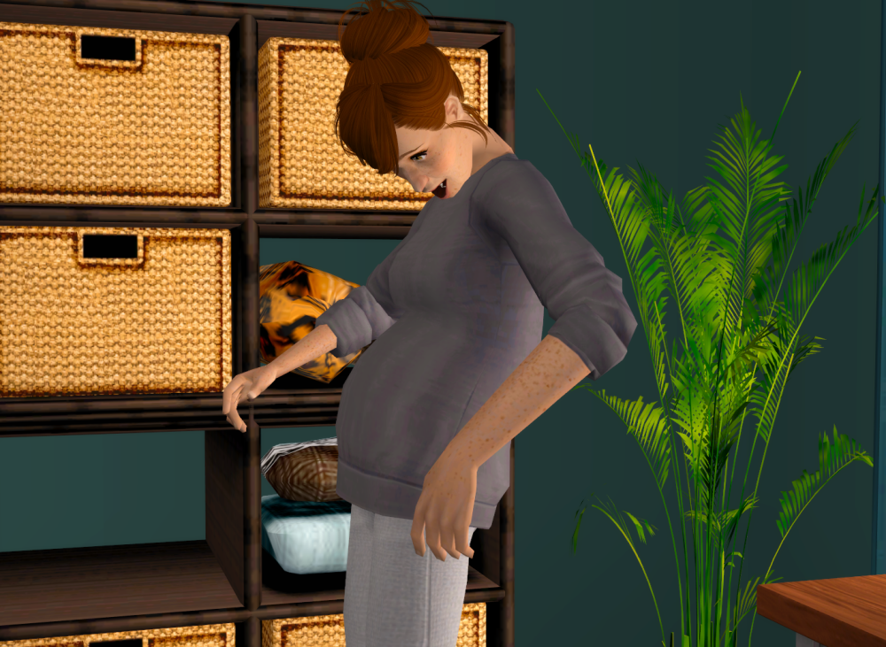 Sims2-EP9-RPC-2021-11-27-18-57-17-59