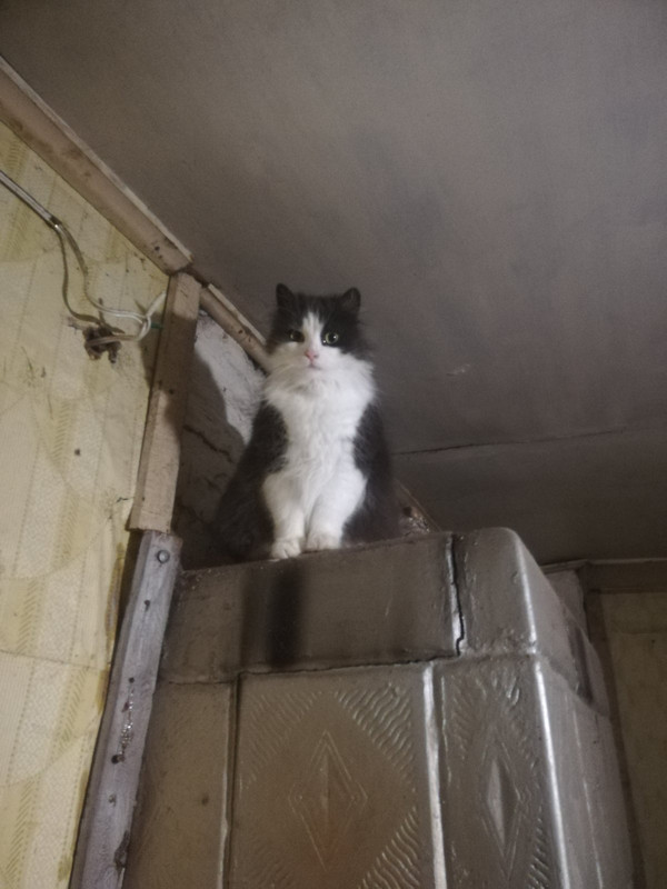 IMG-301fc3a7cfcc529e16daf1ad110dd149-V