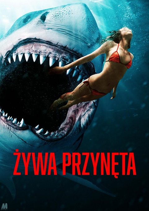 Żywa przynęta / Shark Bait (2022) MULTi.1080p.WEB-DL.x264.AC3.5.1-MG / Lektor i Napisy PL