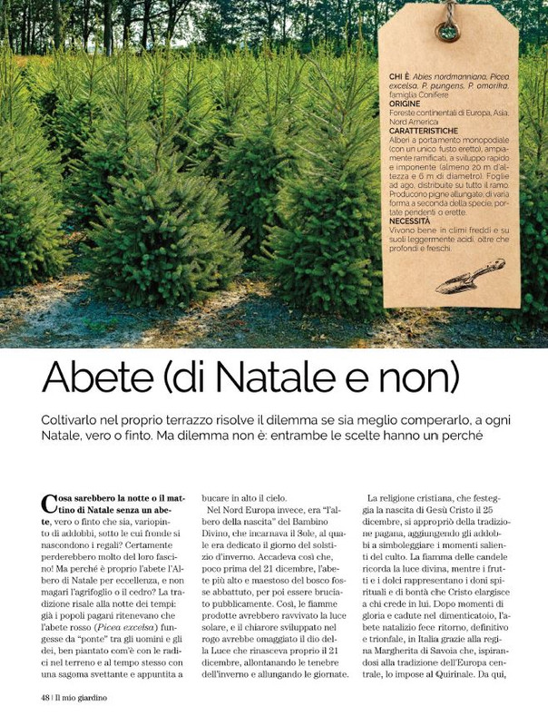 Il Mio Giar Nov-Dic 2021 (3)