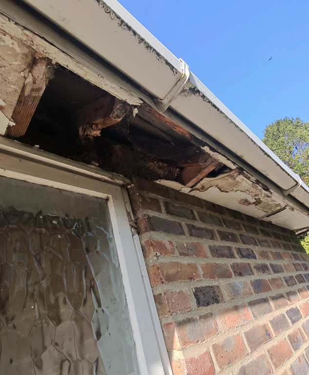 Screenshot 2026 03 11 at 13 29 54