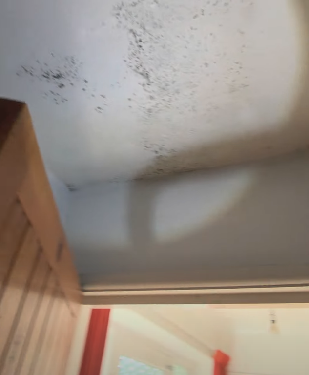 Screenshot 2026 03 11 at 13 32 34