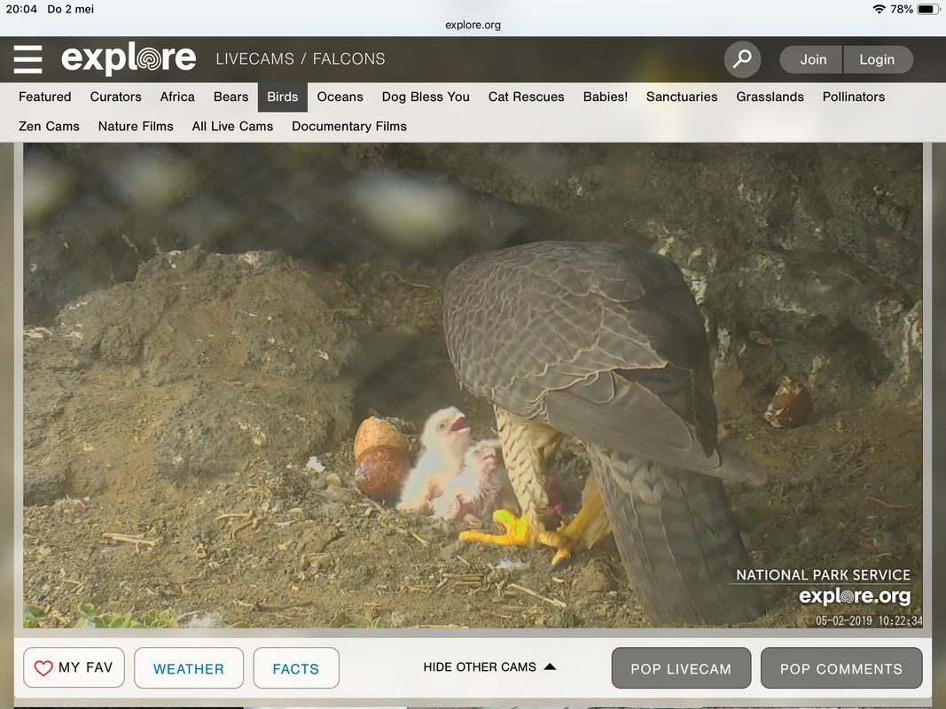 963A4901-34B2-4116-96FE-B25863D78DA7