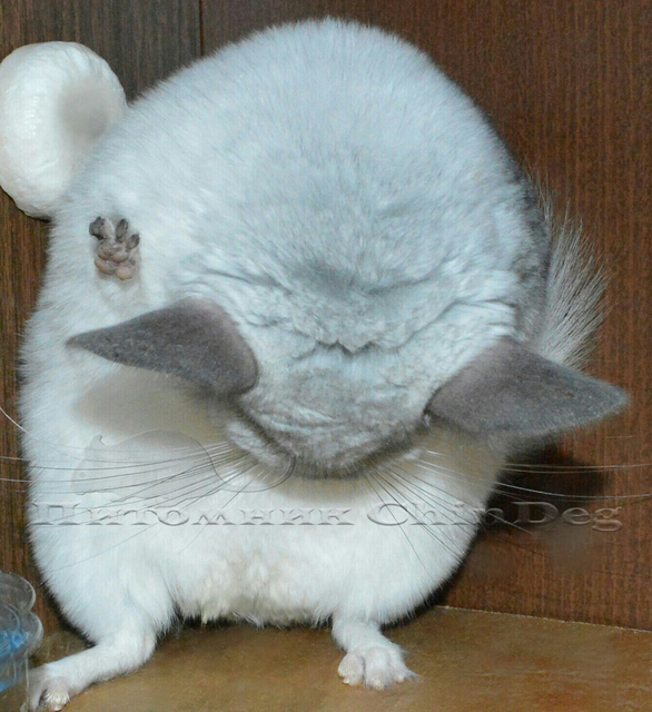 a4aJ7o0GXsU