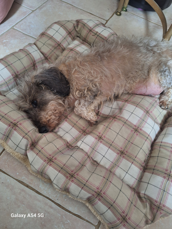 [Image: 20240629-140120.jpg]