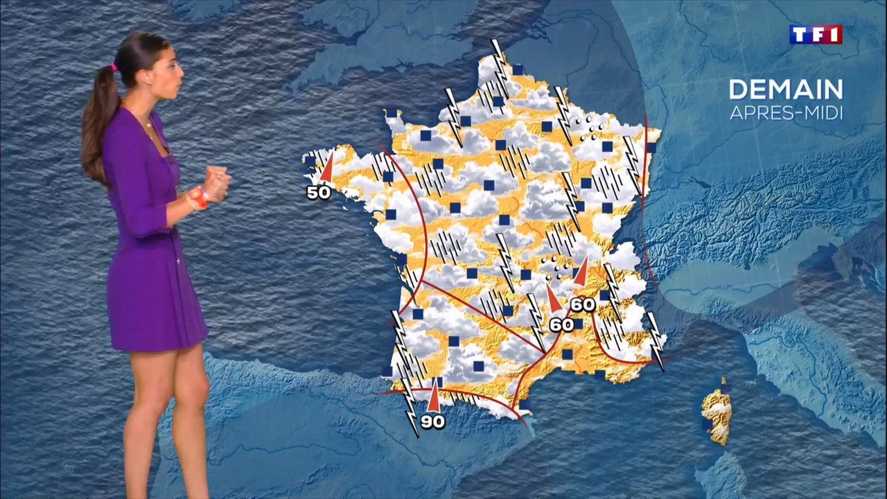 2021-06-26_20_00_TF1_Le-20h.mp4_snapshot_00.01.56.926