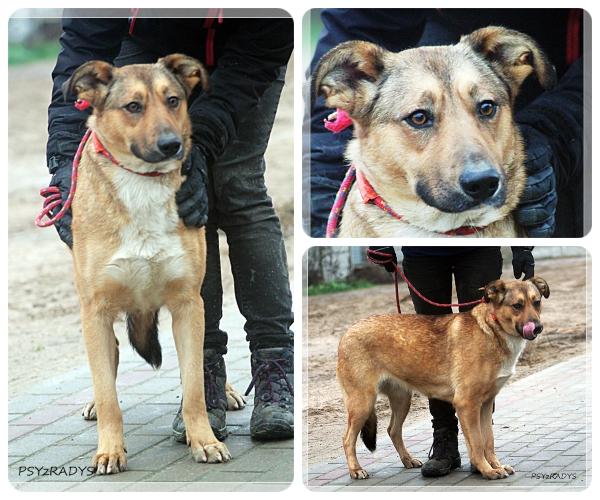 BeFunky-collage (27)