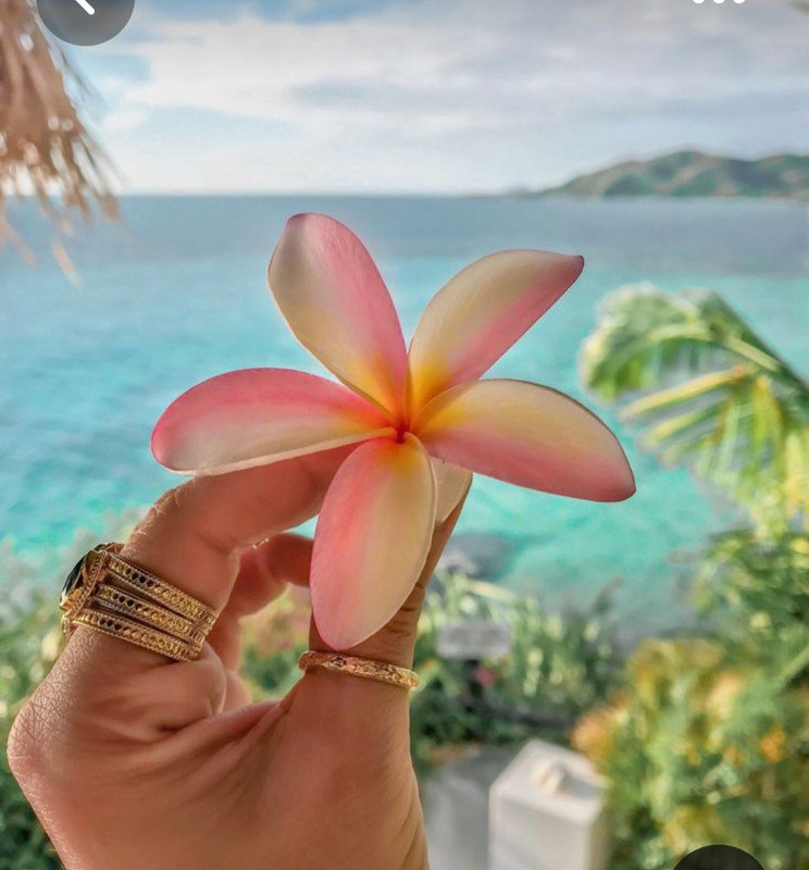 Screenshot_20230527_220101_Pinterest