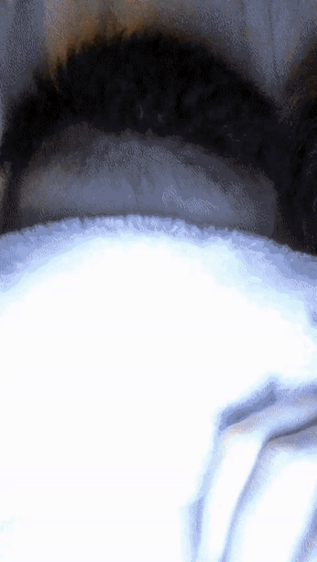 https://i.postimg.cc/PJhf9kpZ/9.gif