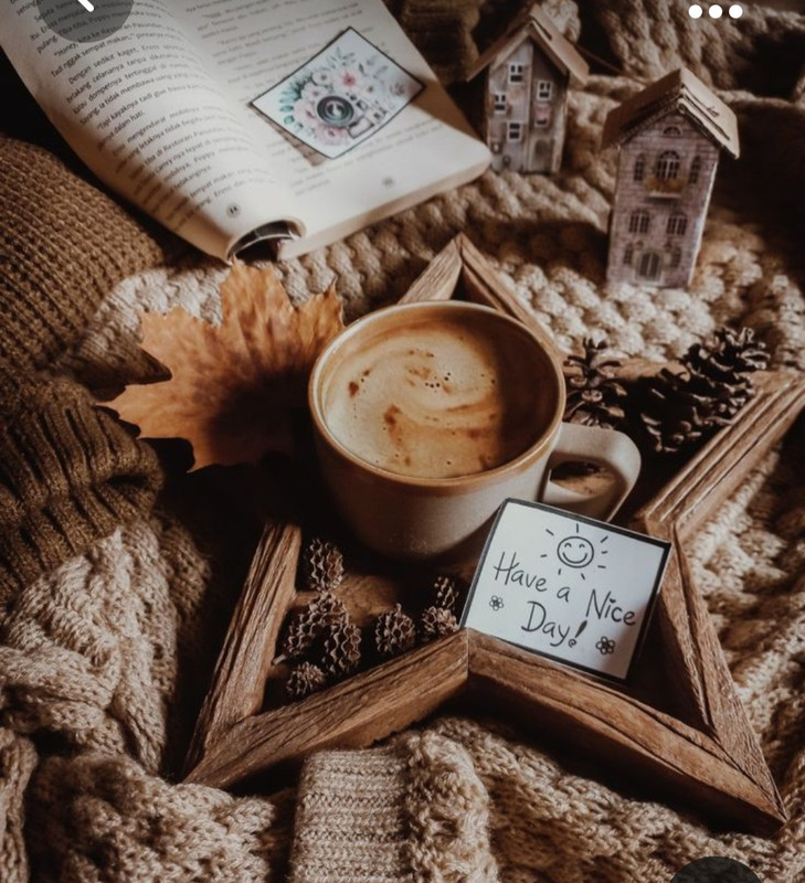 Screenshot_20231031_171052_Pinterest