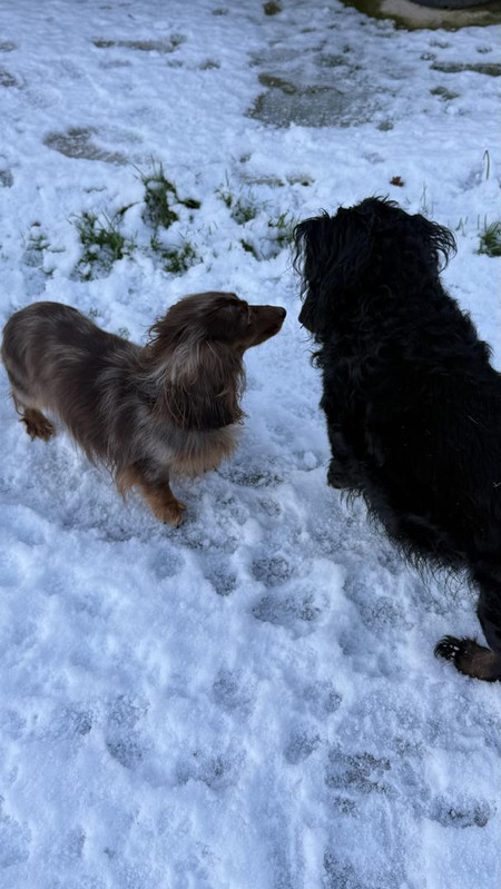 [Image: IMG-5083.jpg]