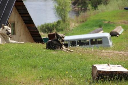 Лозьва 2013 176