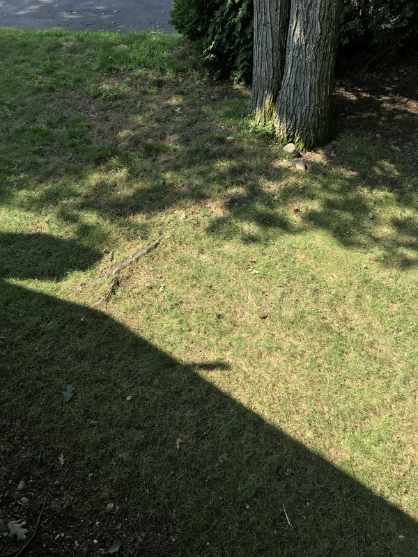 2788ED2D-7B7B-4072-AD7B-925D7C755193