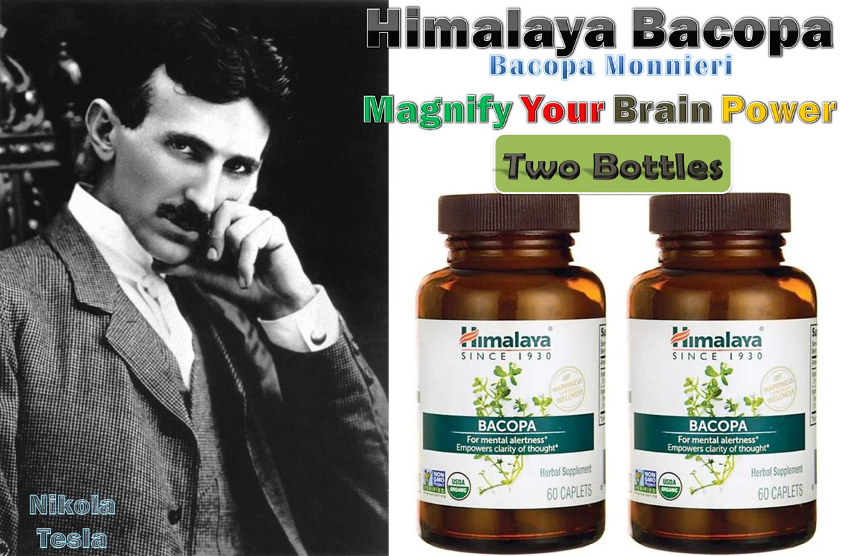Himalaya-Bacopa