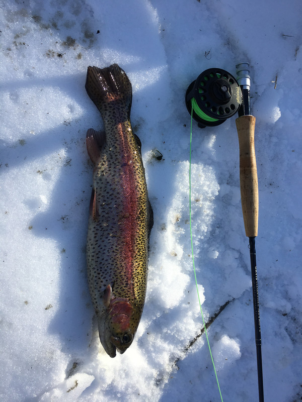 09485D0D-9A92-44D8-9279-3077D8905633