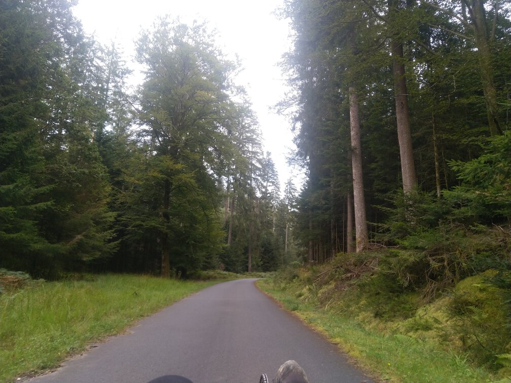 [Afbeelding: IMG-20240830-161426.jpg]