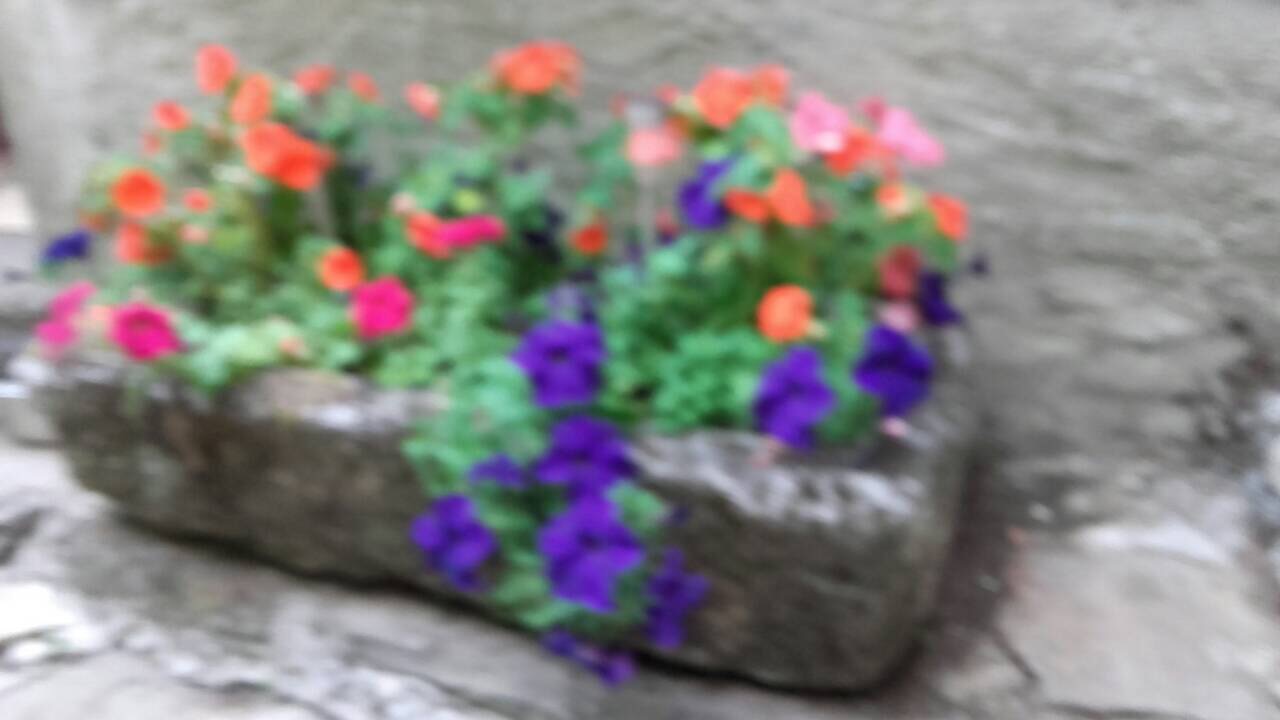 26D51712-D4D1-46F4-826E-21B1320ABF06