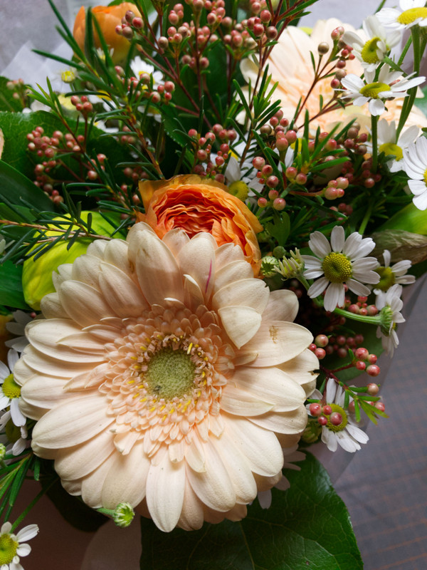 2018-03-03 18-48-23  0100 avant