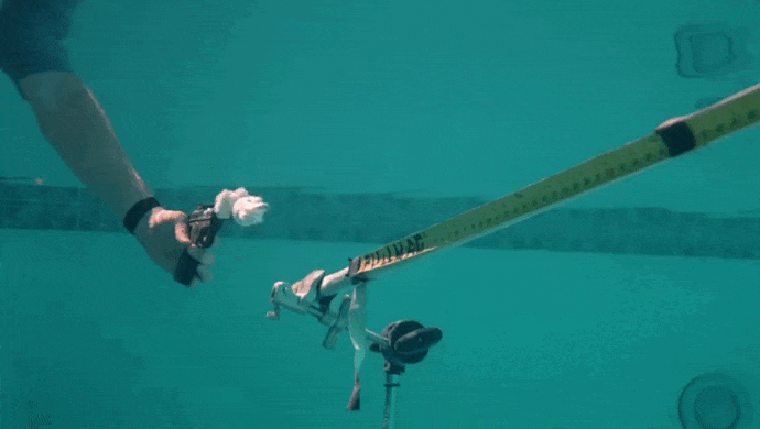https://i.postimg.cc/PJjjV4Cg/video-2026-04-29-02-24-42-(1).gif