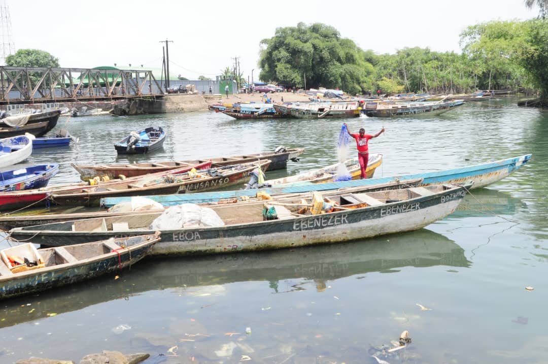 Africa Small Scale Fish Farmers