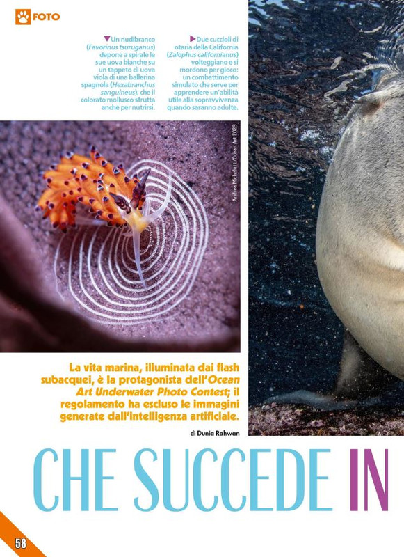 Foc Wil - Lug 2024 (11)